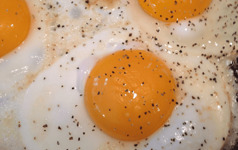 Free Range Chicken Eggs - limited quantities