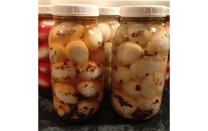 Free Range Chicken Eggs - limited quantities