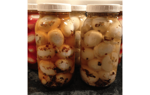 Free Range Chicken Eggs - limited quantities